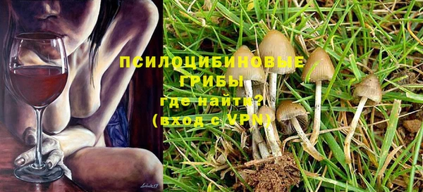 шишки Абдулино