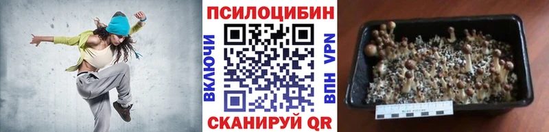 Псилоцибиновые грибы MAGIC MUSHROOMS  наркошоп  Северодвинск 